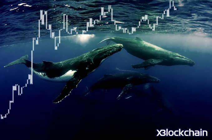تجمع نهنگ بیت کوین در تراز 13000 دلار سطح حمایتی جدید